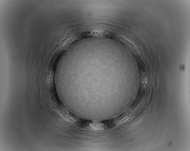 X0000100950603200807011310