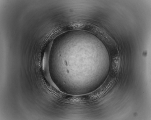 X0000100950604200807011310