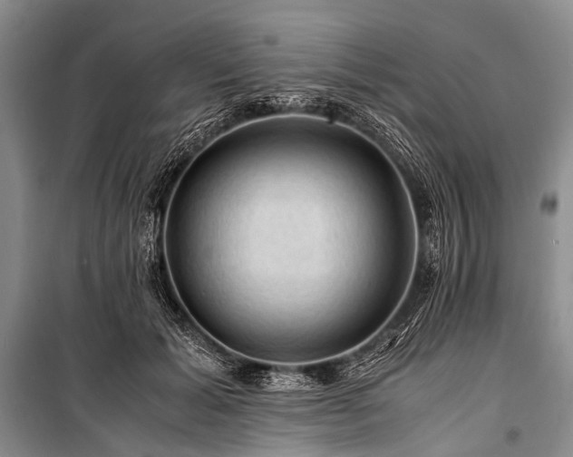 X0000100950605200807011310