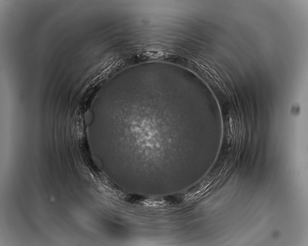 X0000100950606200807011310