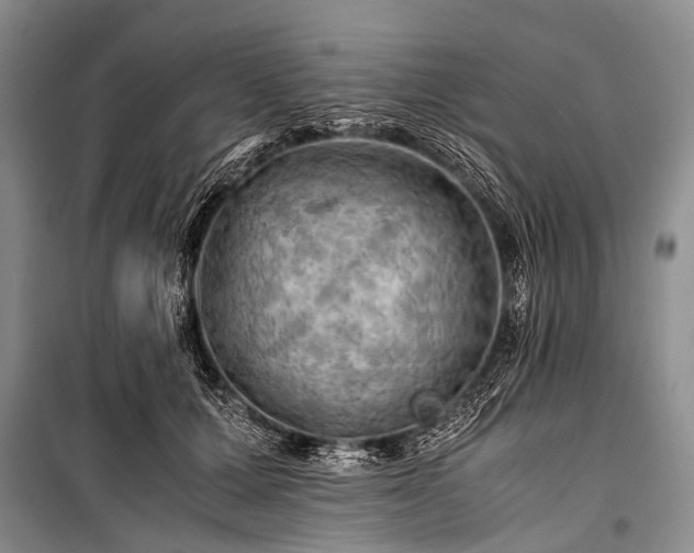 X0000100950607200807011310