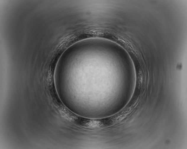 X0000100950609200807011310