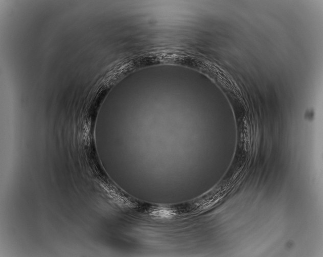 X0000100950610200807011310