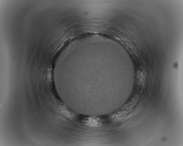 X0000100950612200807011310