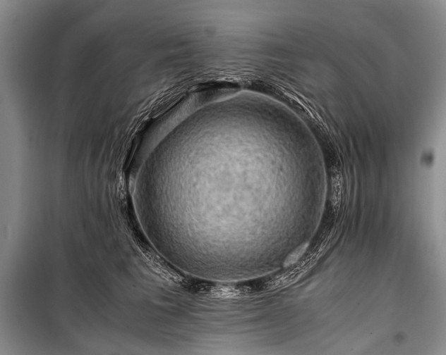 X0000100950613200807011310