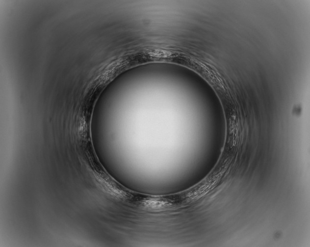 X0000100950614200807011310