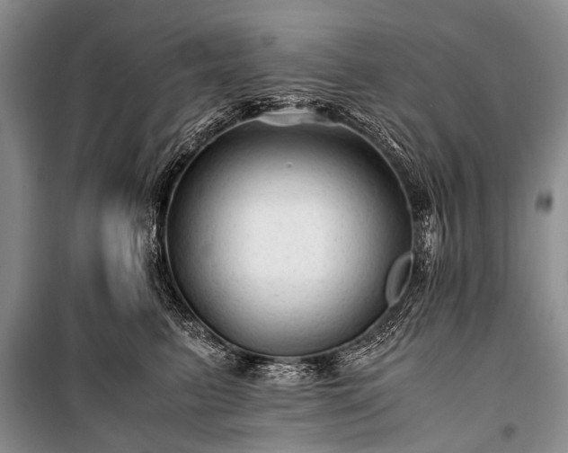 X0000100950615200807011310