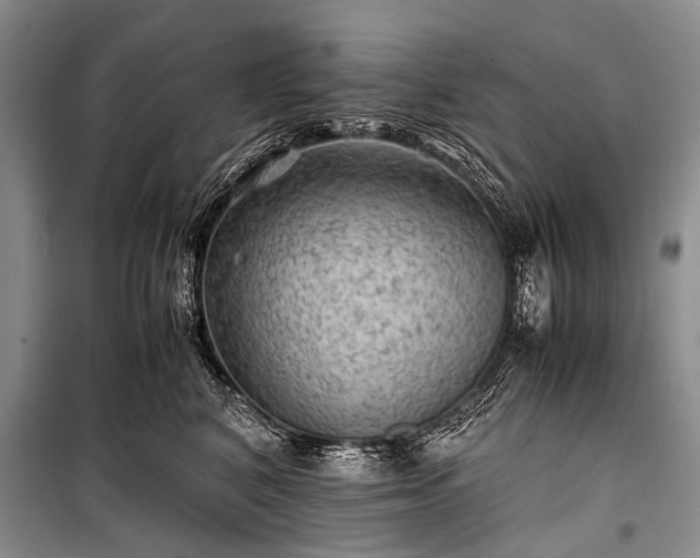 X0000100950616200807011310