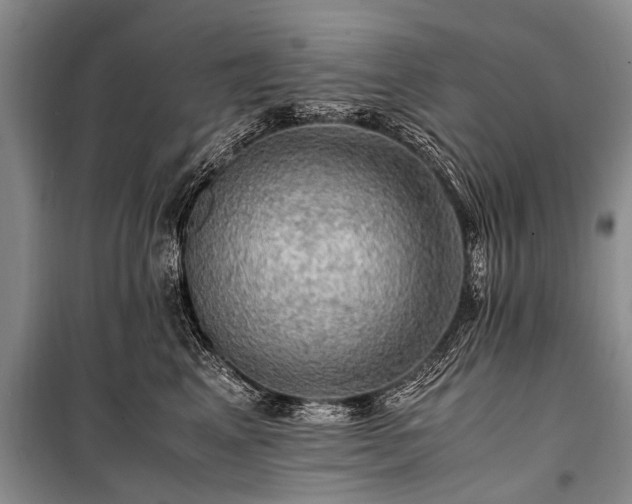 X0000100950617200807011310