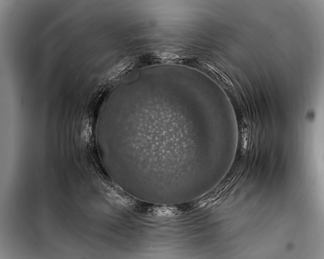 X0000100950618200807011310