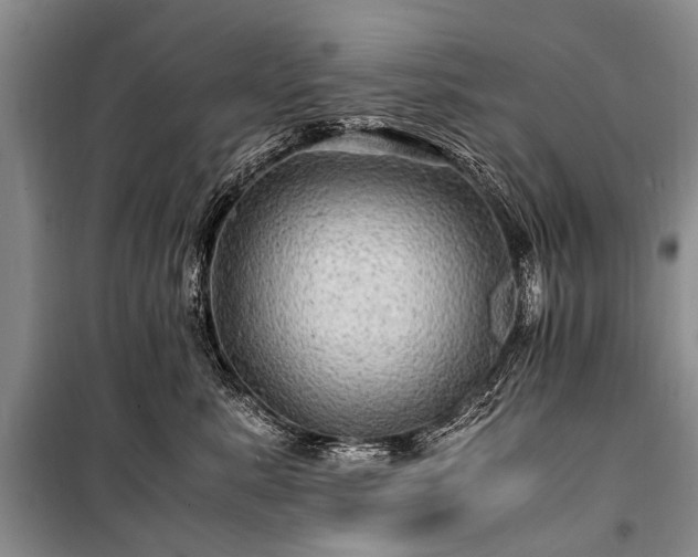 X0000100950619200807011310