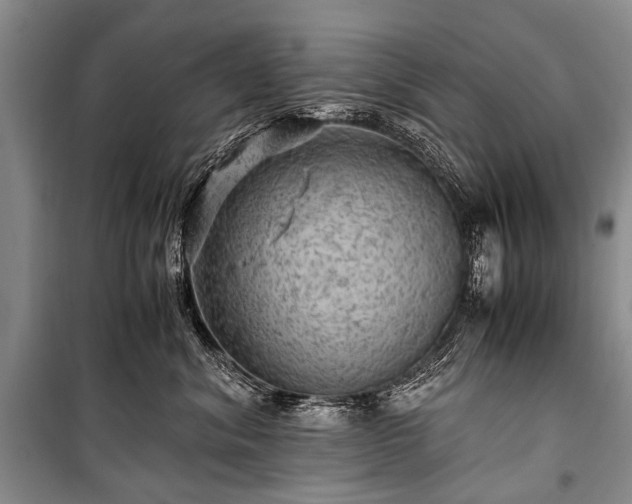 X0000100950620200807011310