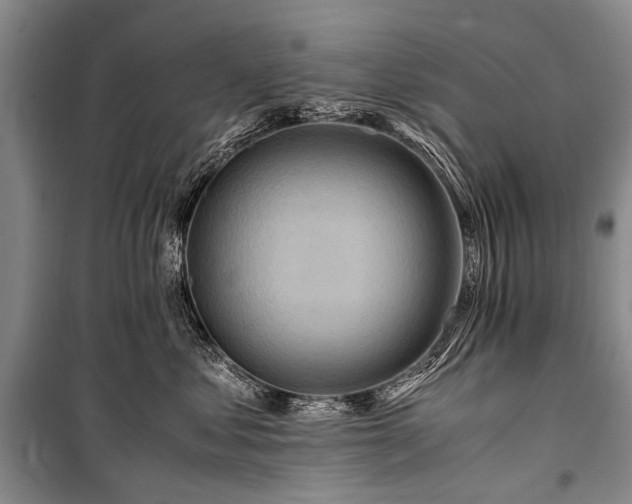 X0000100950621200807011310