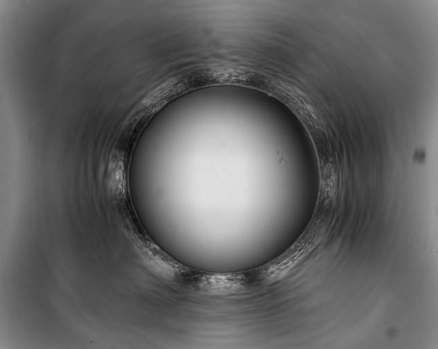 X0000100950622200807011310
