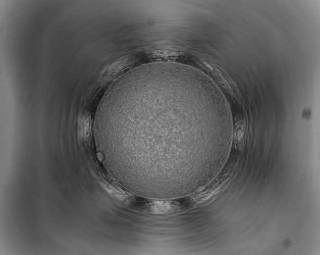 X0000100950623200807011310
