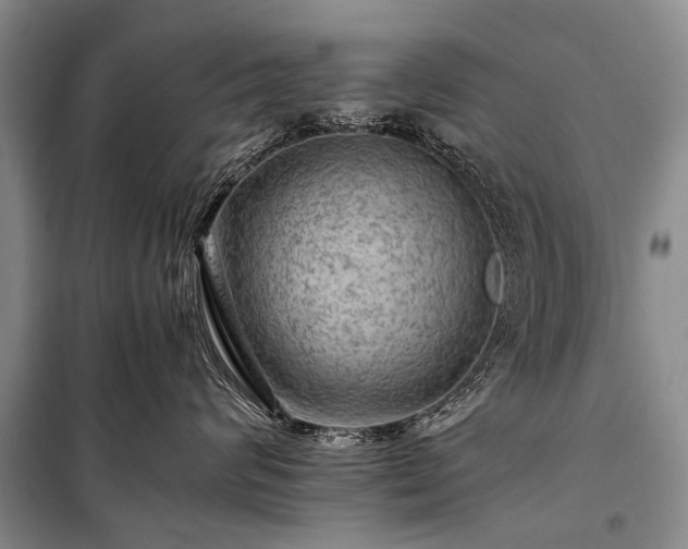 X0000100950624200807011310