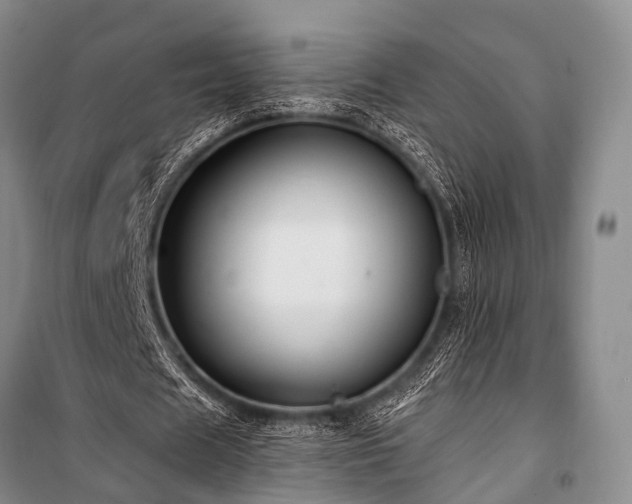 X0000100950625200807011309