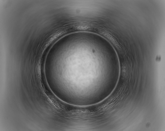 X0000100950626200807011309