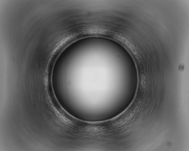 X0000100950629200807011309
