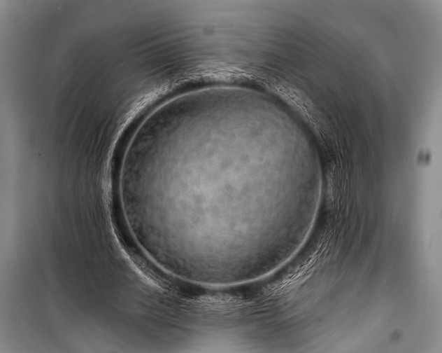 X0000100950630200807011309