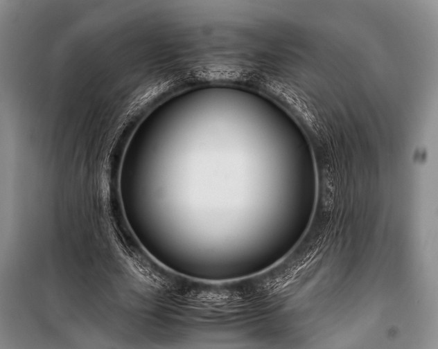 X0000100950631200807011309
