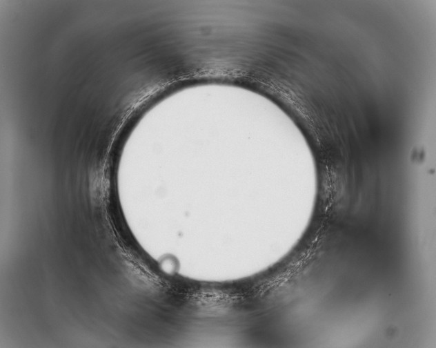 X0000100950632200807011309