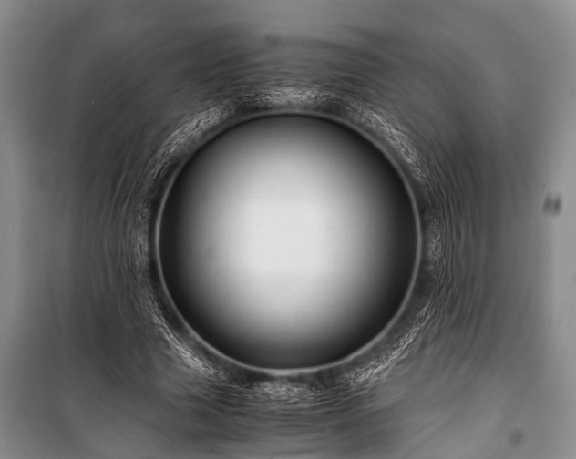 X0000100950633200807011309