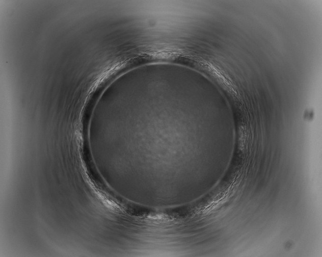 X0000100950634200807011309