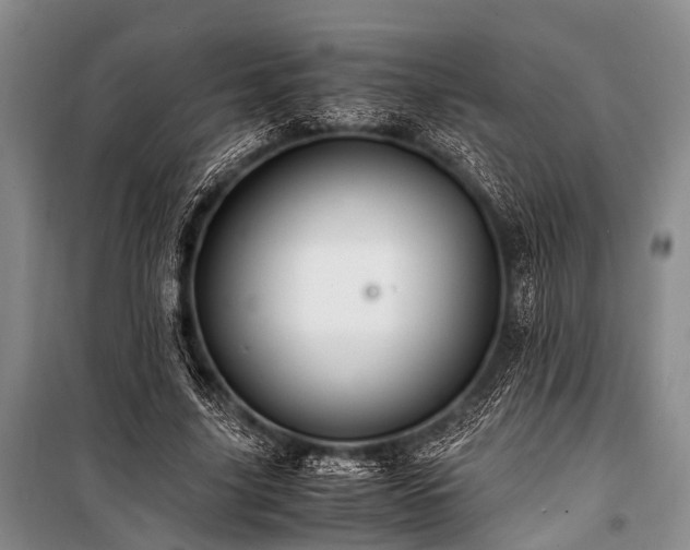 X0000100950635200807011309