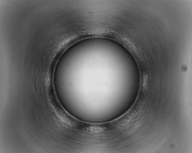 X0000100950636200807011309