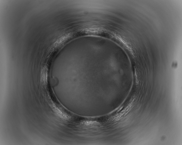 X0000100950637200807011309