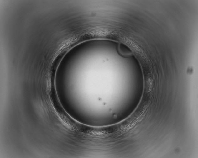X0000100950638200807011309