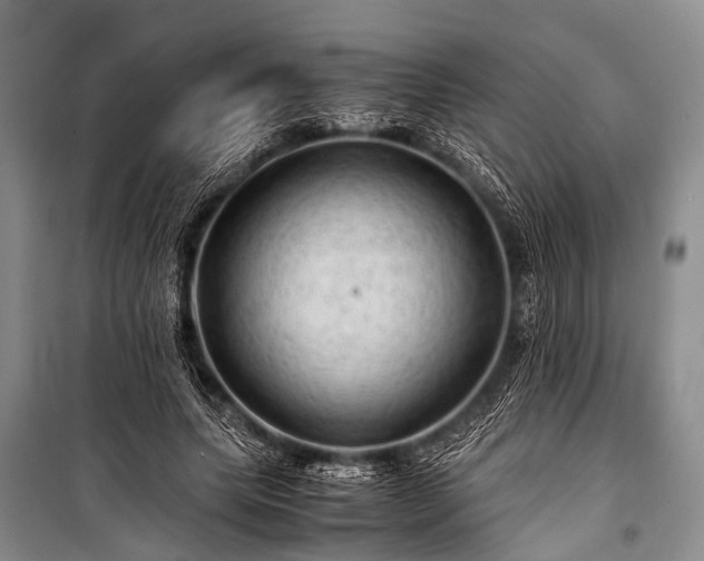 X0000100950639200807011309