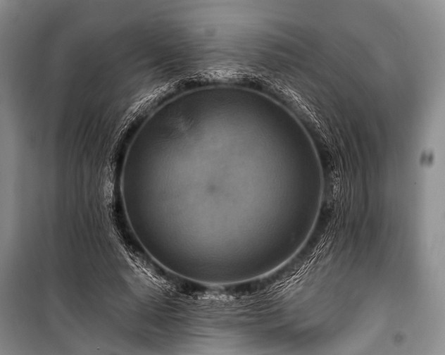 X0000100950640200807011309