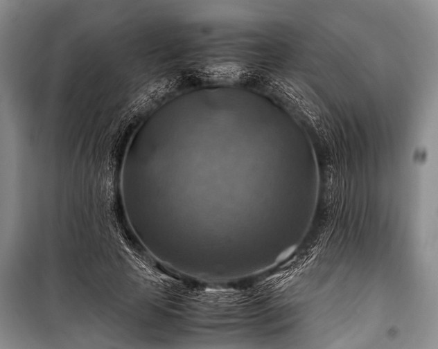 X0000100950641200807011309