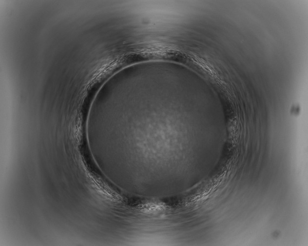 X0000100950642200807011309