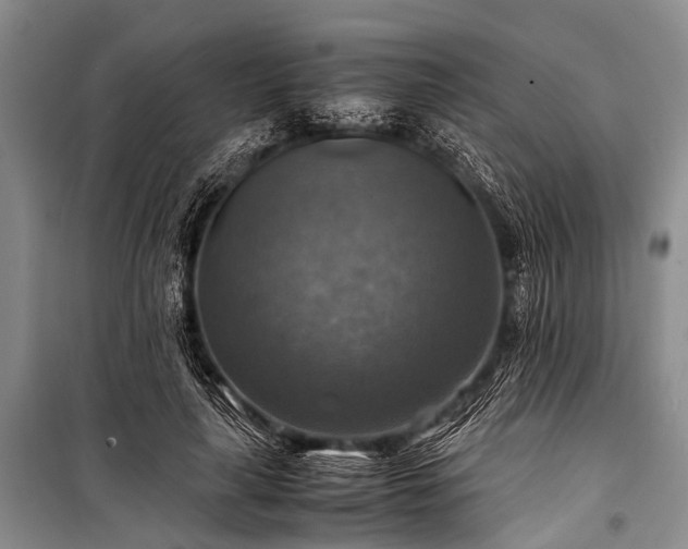 X0000100950643200807011309