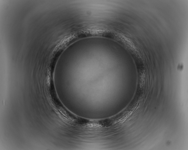 X0000100950644200807011310