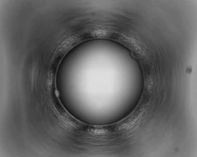 X0000100950645200807011310