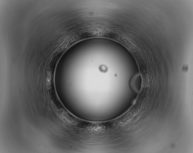 X0000100950646200807011310
