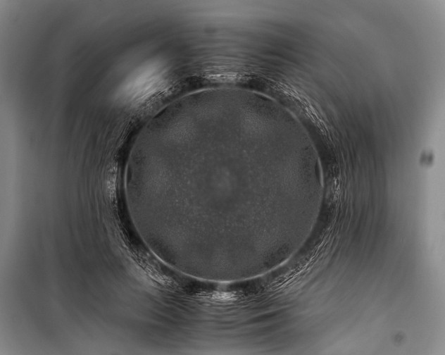 X0000100950647200807011310