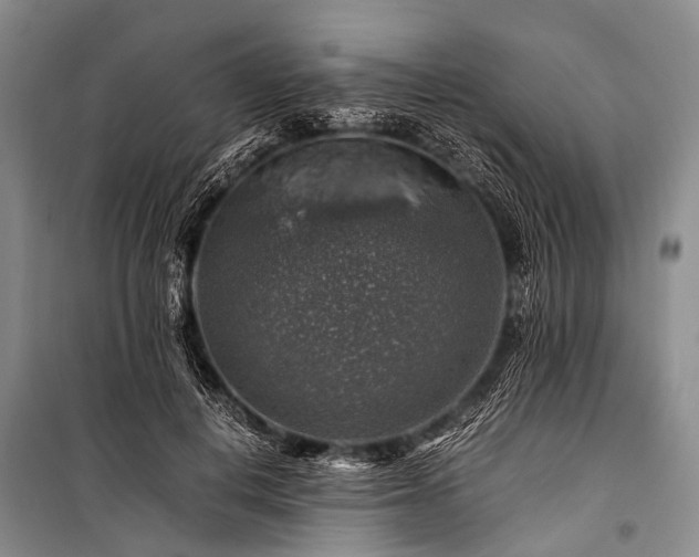 X0000100950648200807011310