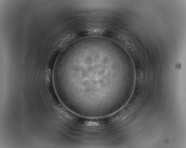 X0000100950649200807011310