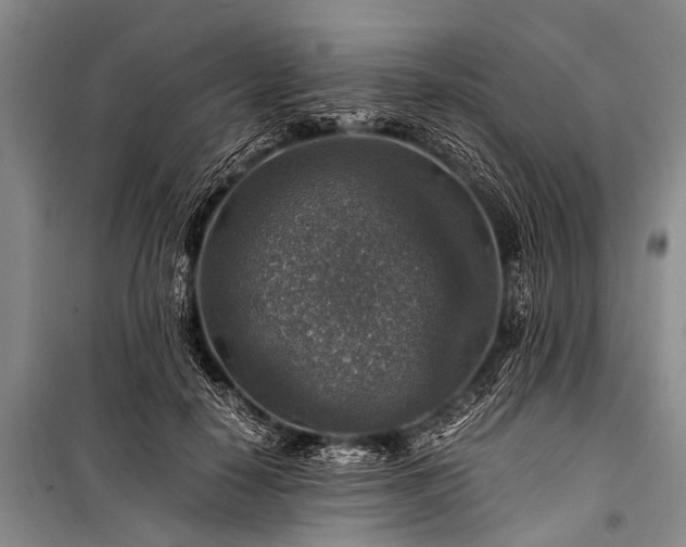 X0000100950650200807011310