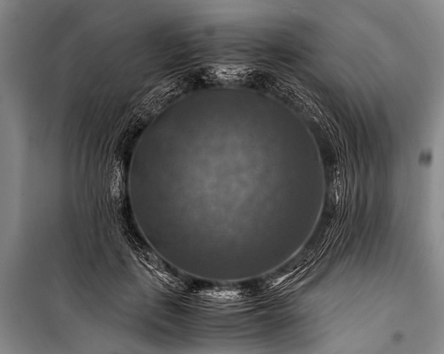 X0000100950651200807011310