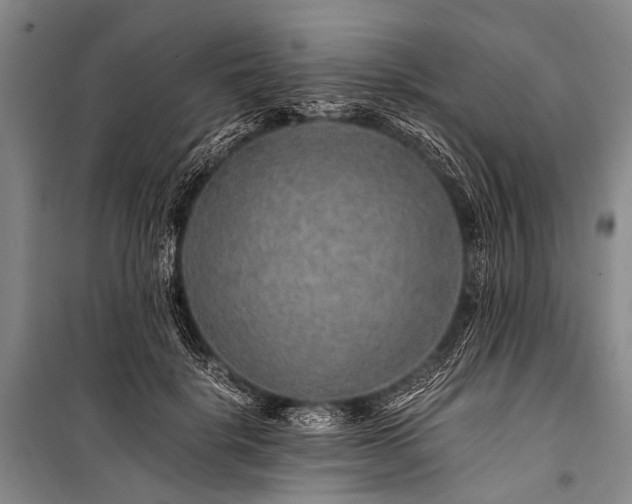 X0000100950652200807011310