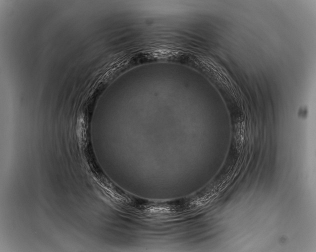 X0000100950653200807011310