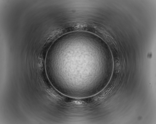 X0000100950654200807011310