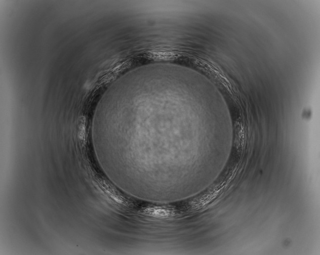 X0000100950655200807011310
