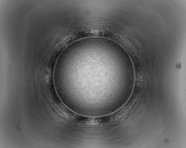 X0000100950656200807011310
